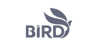 birdinterim